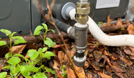 caribbean heat air llc columbia sc 2026 01 28T15:22:46.777088Z 10860 1